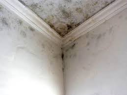 Best HVAC Mold Inspection and Cleaning  in , MA